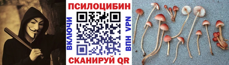 даркнет формула  Бабаево  Галлюциногенные грибы мухоморы 