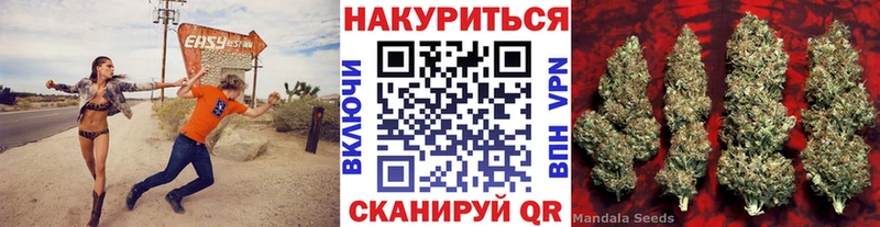 Шишки марихуана семена  Бабаево 